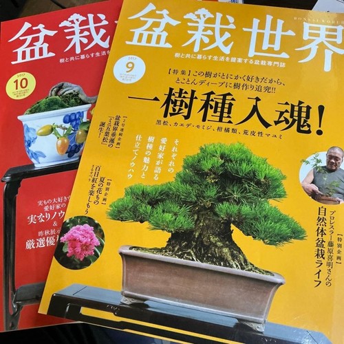 Bonsai world japan magazine - world,