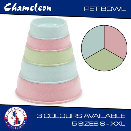 Pet dog cat bowl feeding - pet,