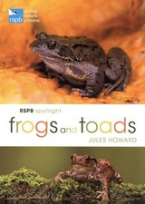 Frogs and Toads