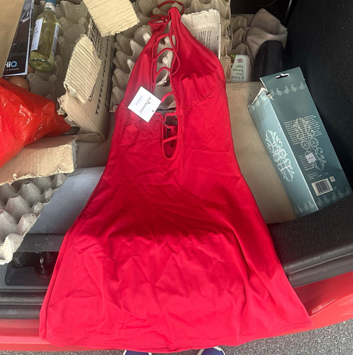 Raunch red mini dress ann - raunch, by