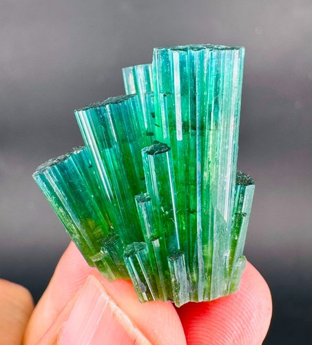 Natural blue tip - tip, green
