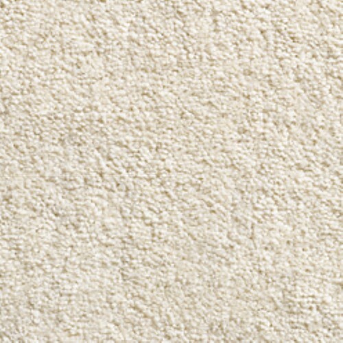 Bathroom carpet water rot - carpet,,