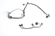 Main wiring loom harness