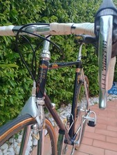 1983 vintage daccordi 50th - daccordi,