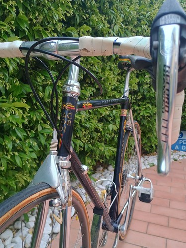 1983 vintage daccordi 50th - vintage,