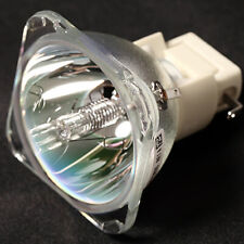 Replacement Projector Lamp For SIM2 Domino D10, D10E BULB / Z93379263A 
