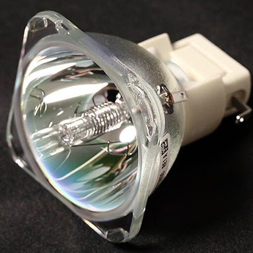 Replacement projector lamp for - lamp,