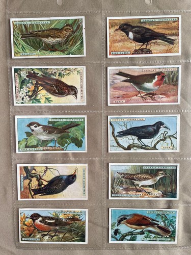 Ogdens cigarette cards british - cigarette,