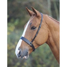 Shires Velociti GARA Hunter