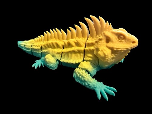 Large iguana d - large,