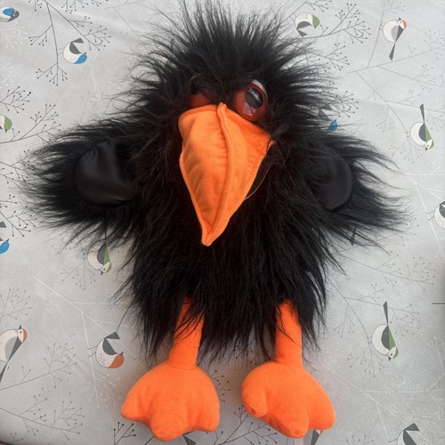 Animal magic crow bird - animal,