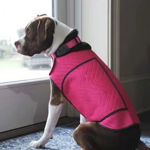 Elastic dog anxiety - elastic,