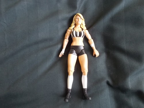 Wwe wrestling action figure - wrestling,