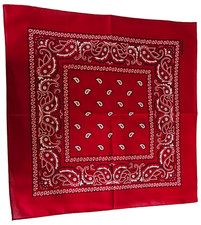 Cowboy/Cowgirl Bandana Cotton