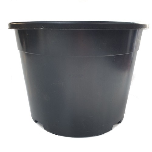 Plant pots litre large - plant,