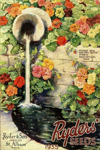 Flower seed catalogue advert - catalogue,