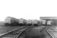 PHOTO BR British Rail Diesel