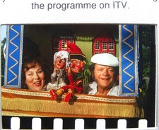 7x THE DARLING BUDS OF MAY