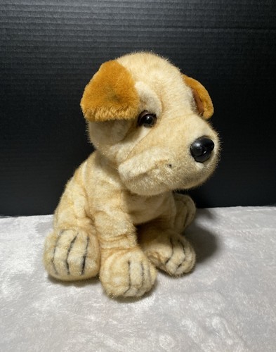 Shar pei dog - pei, frosted