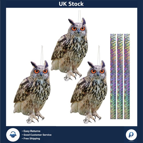 Realistic flat owl - realistic,