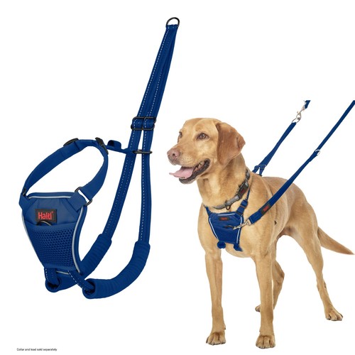 Halti pull dog - halti, no