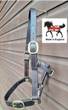 English leather headcollar