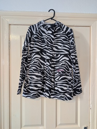Animal zebra print - animal,