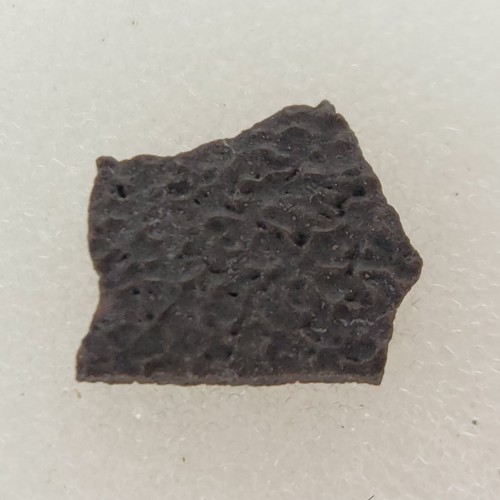 Hadrosaur egg shell fossil - hadrosaur,