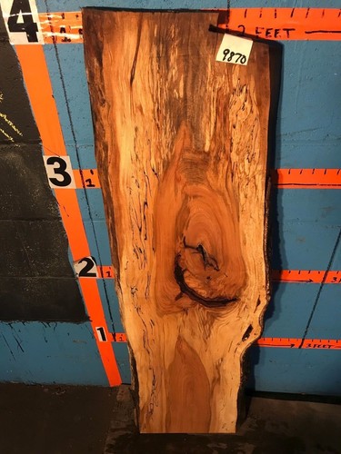 9870 8 thick spalted - , 1