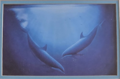 Wyland minds the water - wyland, water"
