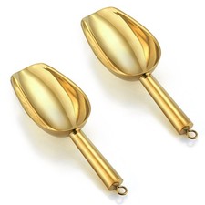 Mini Scoop Set of 2, Stainless