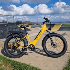 Electric bike 250w 48v fat - bike, 26"