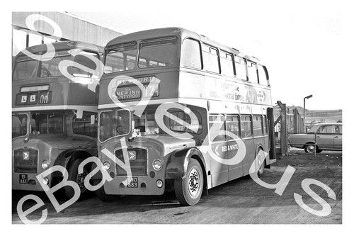 Bus photograph red white - bus,