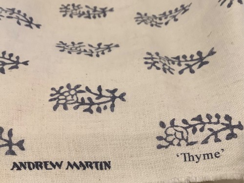 Andrew martin thyme iris - iris, on