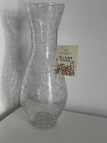 Coley gill crackle glass - &,