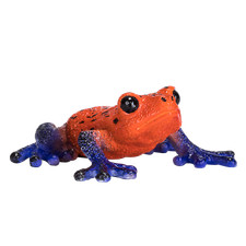 Mojo POISON DART TREE FROG