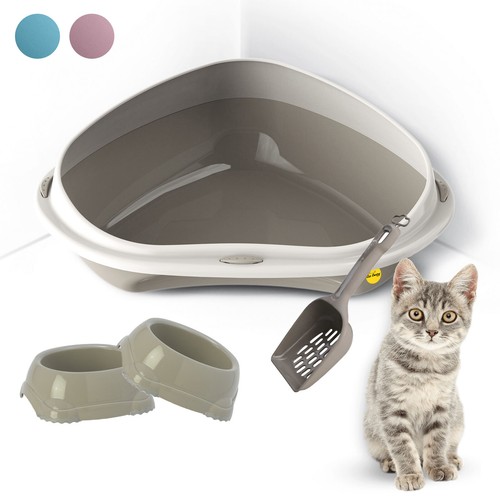 Large corner cat kitten - large,