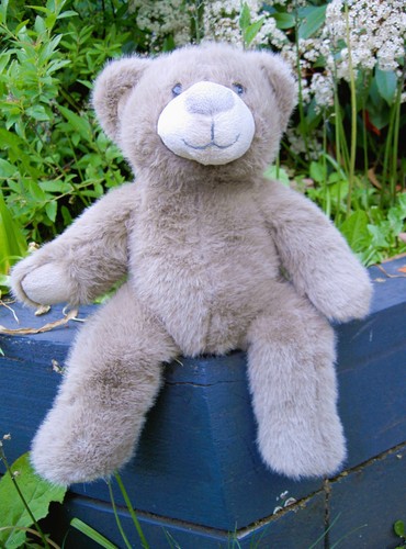 Barnaby teddy bear north pole - bear,