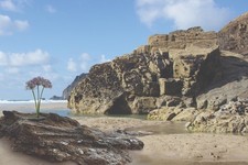 Round Ikebana Kenzan Flower