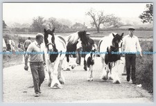 L346128 Appleby Fair The