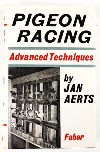 Pigeon racing advanced - racing,