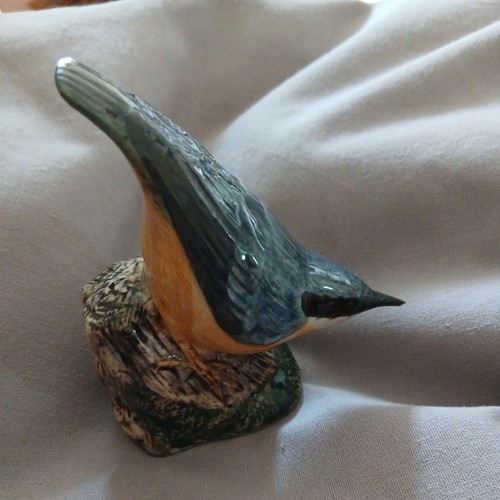 Nuthatch bird quail - bird,