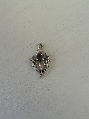 Scottish silver thistle - scottish, charm