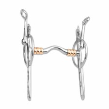 Carriage Driving Liverpool