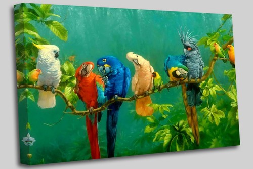 Parrot macaw birds canvas - parrot,