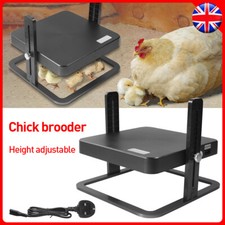 Adjust Chick Brooder Heating