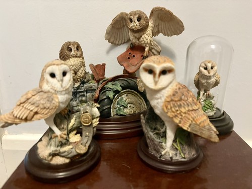 Country artist owl - country,