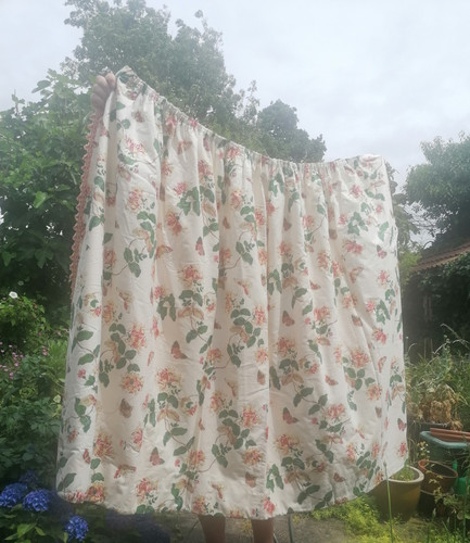 Colefax fowler honeysuckle - colefax,