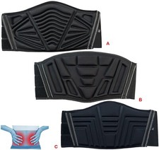 EXPANDABLE LOWER BACK KIDNEY