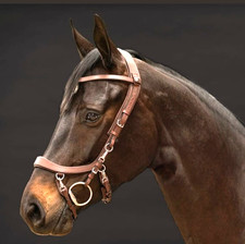 Bitless Brown Leather Horse